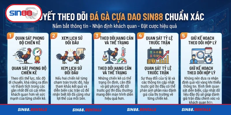 Bí quyết theo dõi đá gà cựa dao Sin88 chuẩn xác