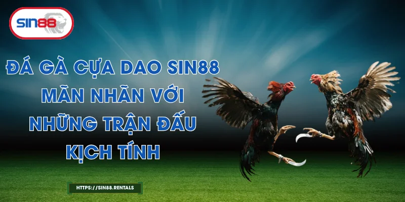 Đá Gà Cựa Dao Sin88 – Mãn Nhãn Với Những Trận Đấu Kịch Tính