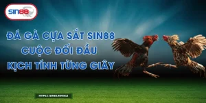 Đá Gà Cựa Sắt Sin88 – Cuộc Đối Đầu Kịch Tính Từng Giây