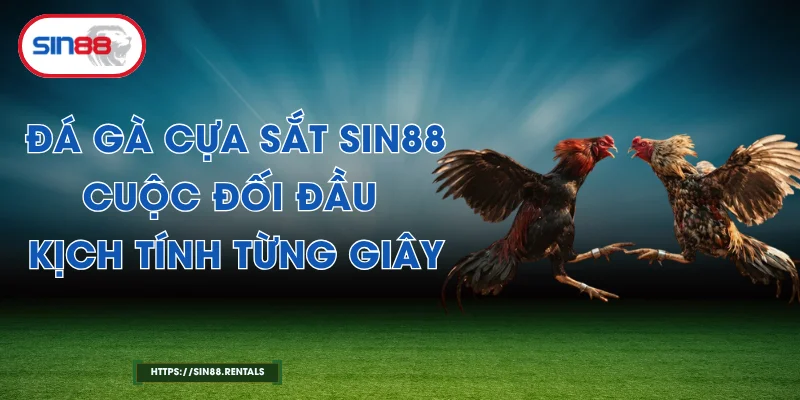 Đá Gà Cựa Sắt Sin88 – Cuộc Đối Đầu Kịch Tính Từng Giây