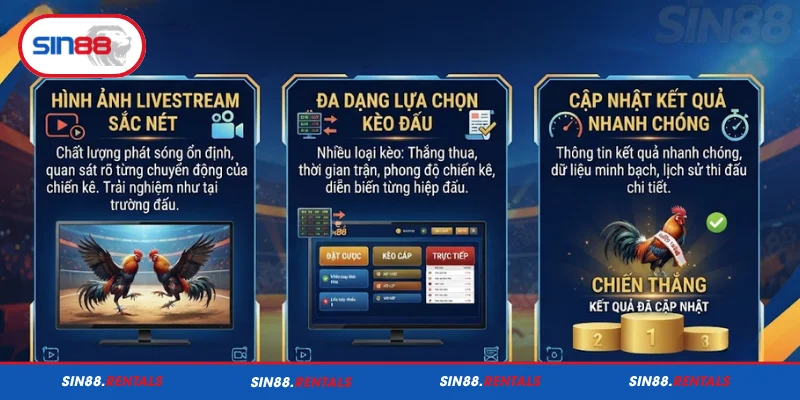 Điểm đặc sắc trong hình thức đá gà cựa sắt Sin88