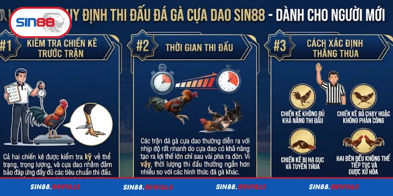 Quy định thi đấu đá gà cựa dao Sin88 dành cho người mới